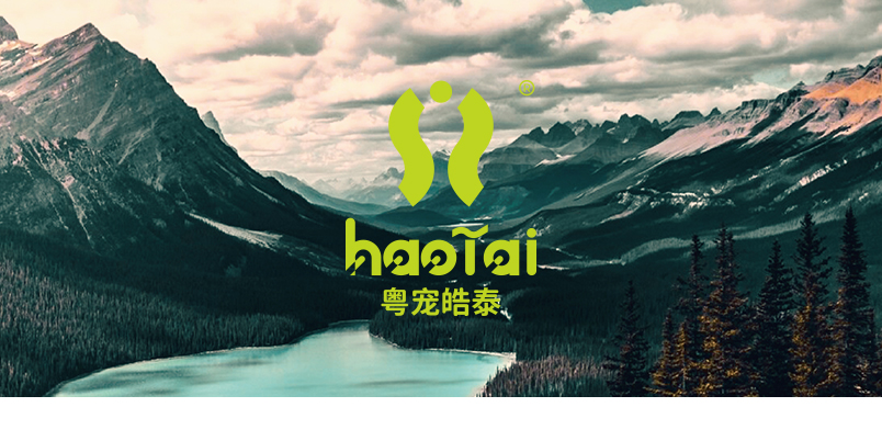 關(guān)于皓泰